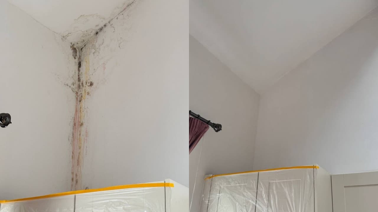 Professional mold repair & painting in london project completed by Adam verified tradespeople