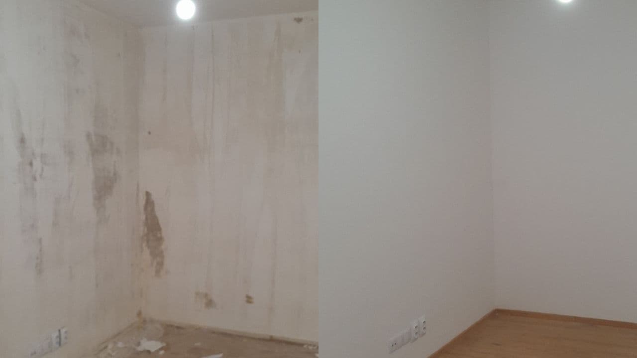 Professional výmalba zdi na bílo project completed by Adam verified tradespeople